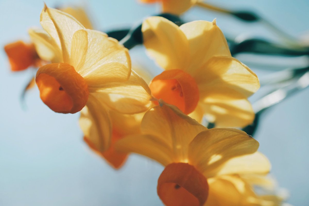 久莉 | kuri tweet media