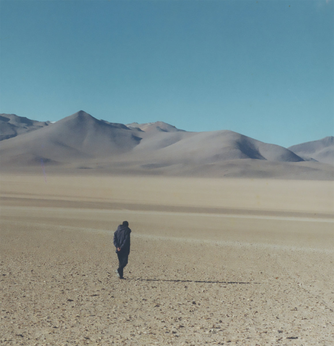 Record Collector Mag tweet media