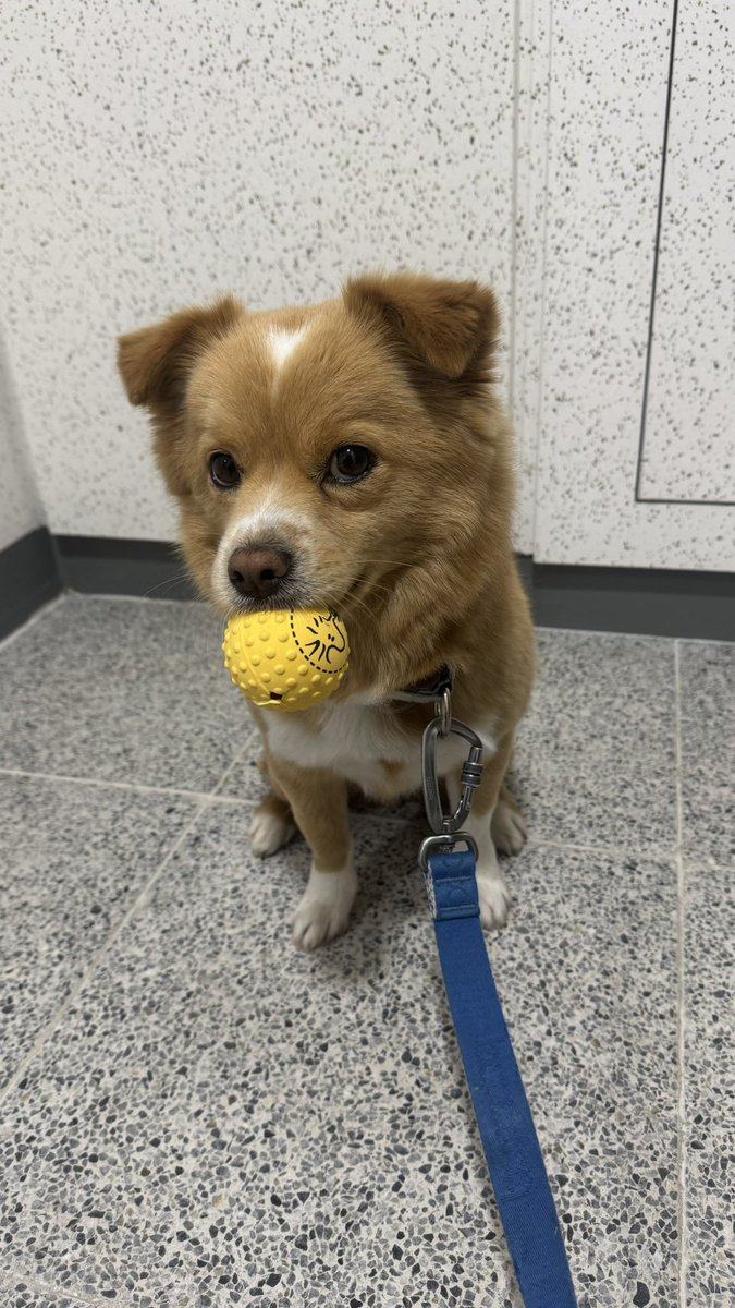 김딱밤 아카이브 tweet media