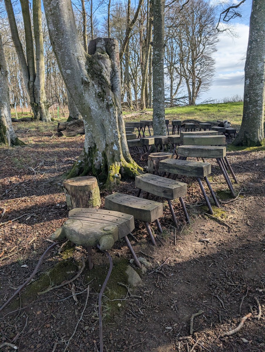 laura ♌ tweet media