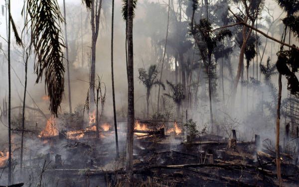 WWF_Roma's tweet photo. 2 Giornate Mondiali: #Foreste #Acqua 21 e 22 marzo.Occasioni per riflettere su risorse naturali,sul loro rispetto e sul loro uso sostenibile.@WWF chiede #stop al consumo di suolo ai Castelli romani. R.Maggini:“È ora di fermare il cemento e uso dell acqua" https://t.co/OFkyx9wvcl https://t.co/6oJHpwCBT5