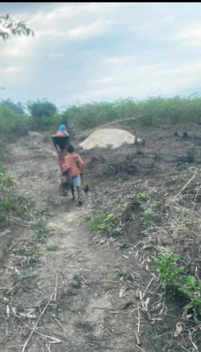 Invincible tweet media