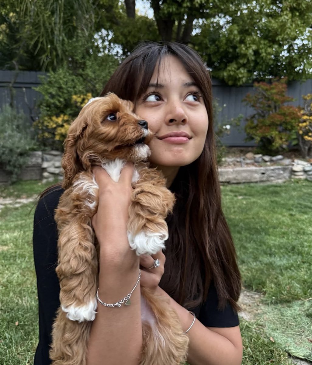 folkative tweet media