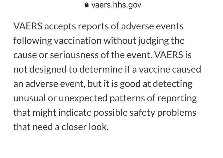 BrainbellJangler tweet media