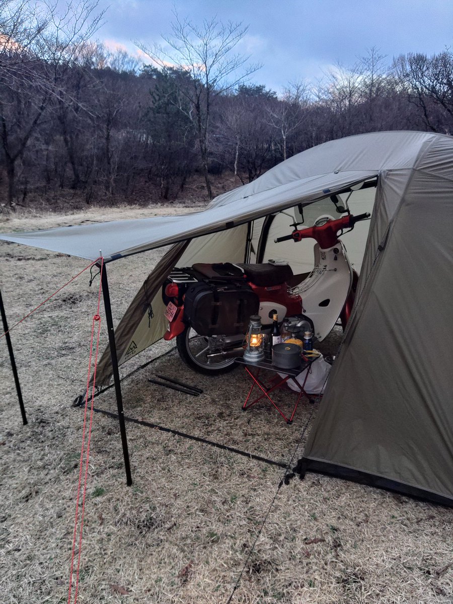 カブの人 tweet media