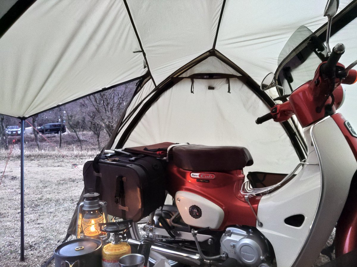 カブの人 tweet media