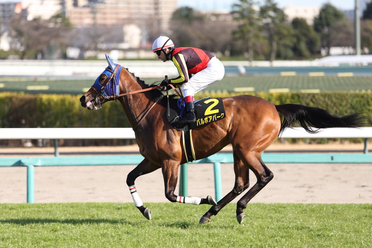 田中博康厩舎【公式】 tweet media