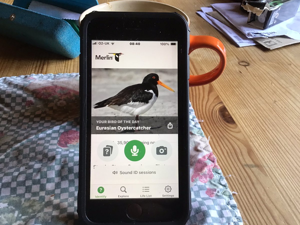 Barry Topp tweet media