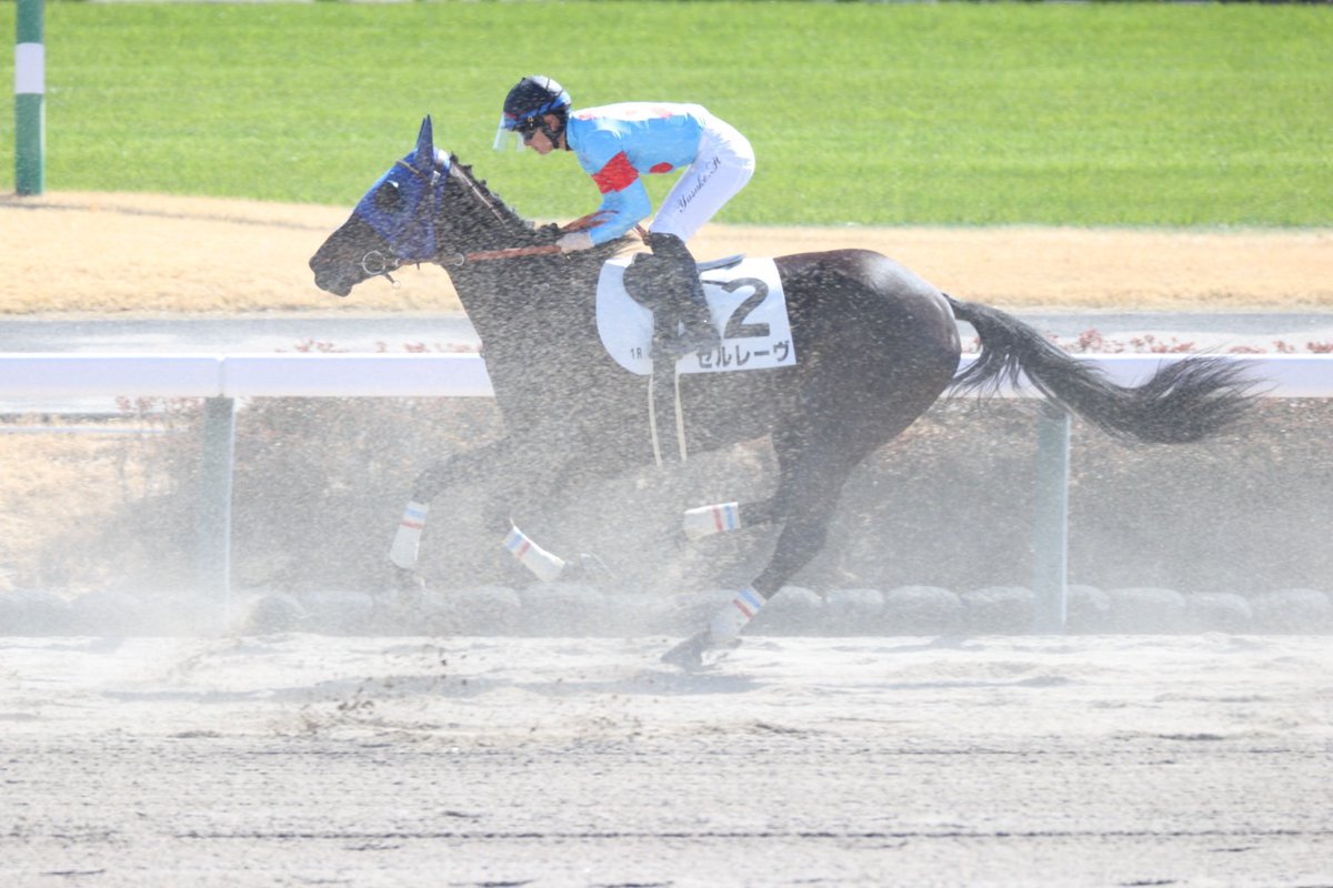 田中博康厩舎【公式】 tweet media