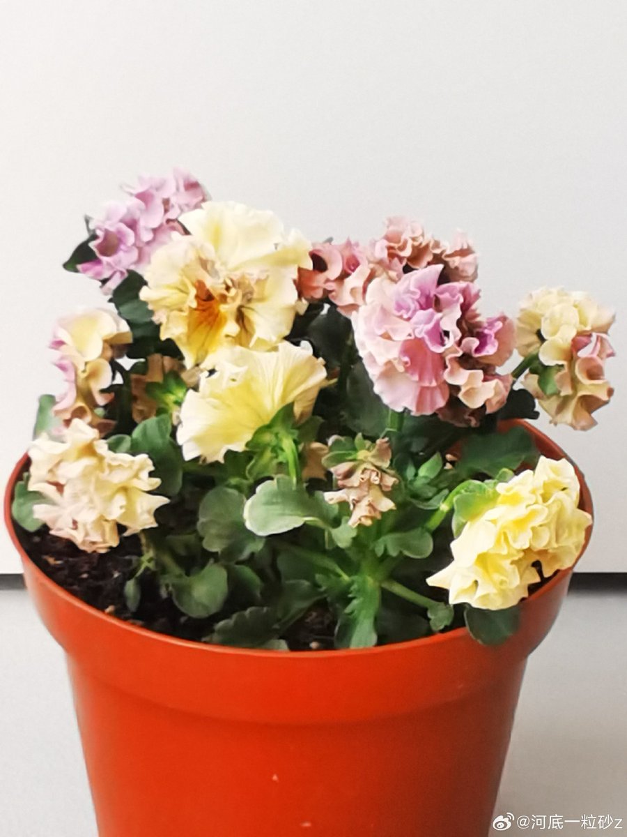 Kelly Gilmartin tweet media