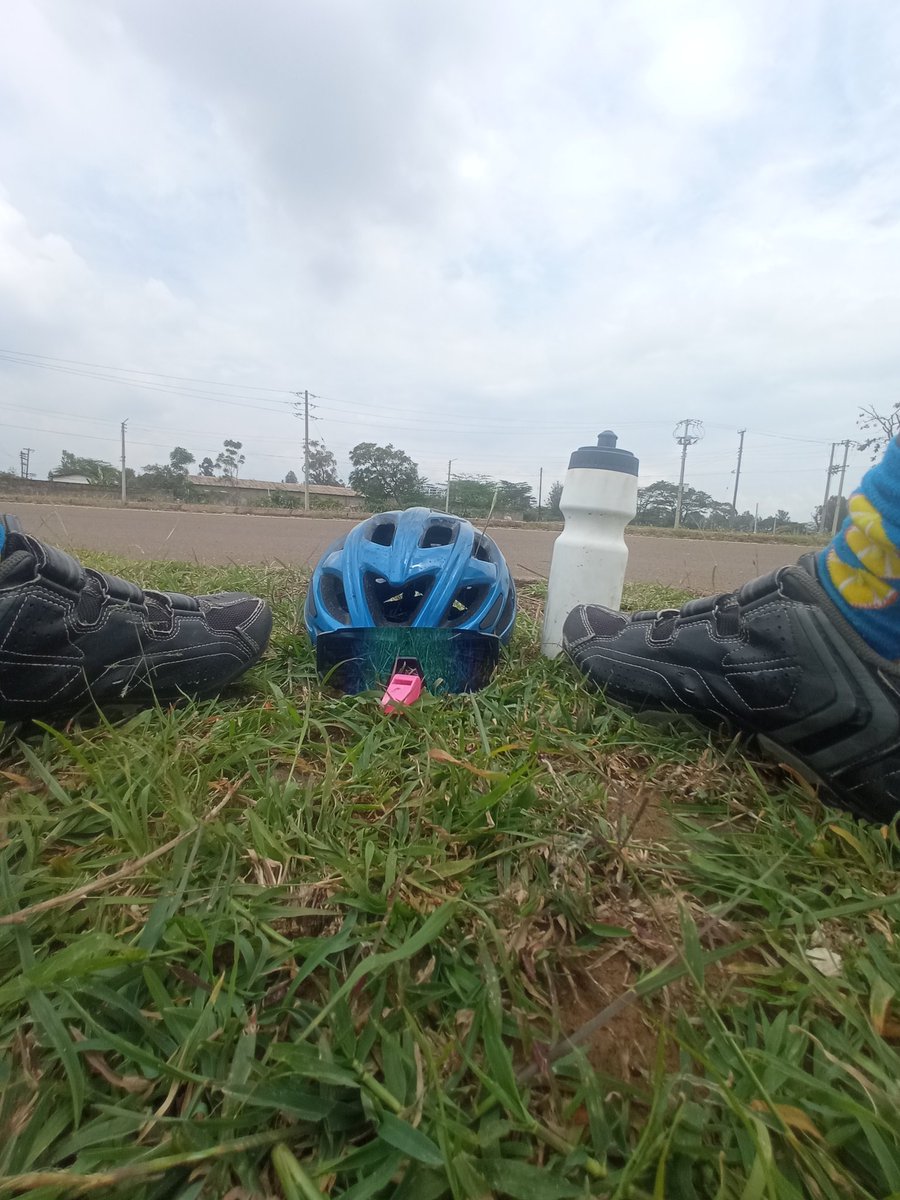 The Mantis. tweet media