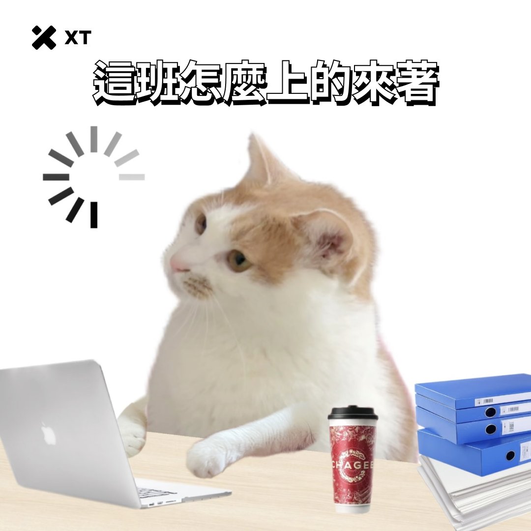 XT中文频道 tweet media