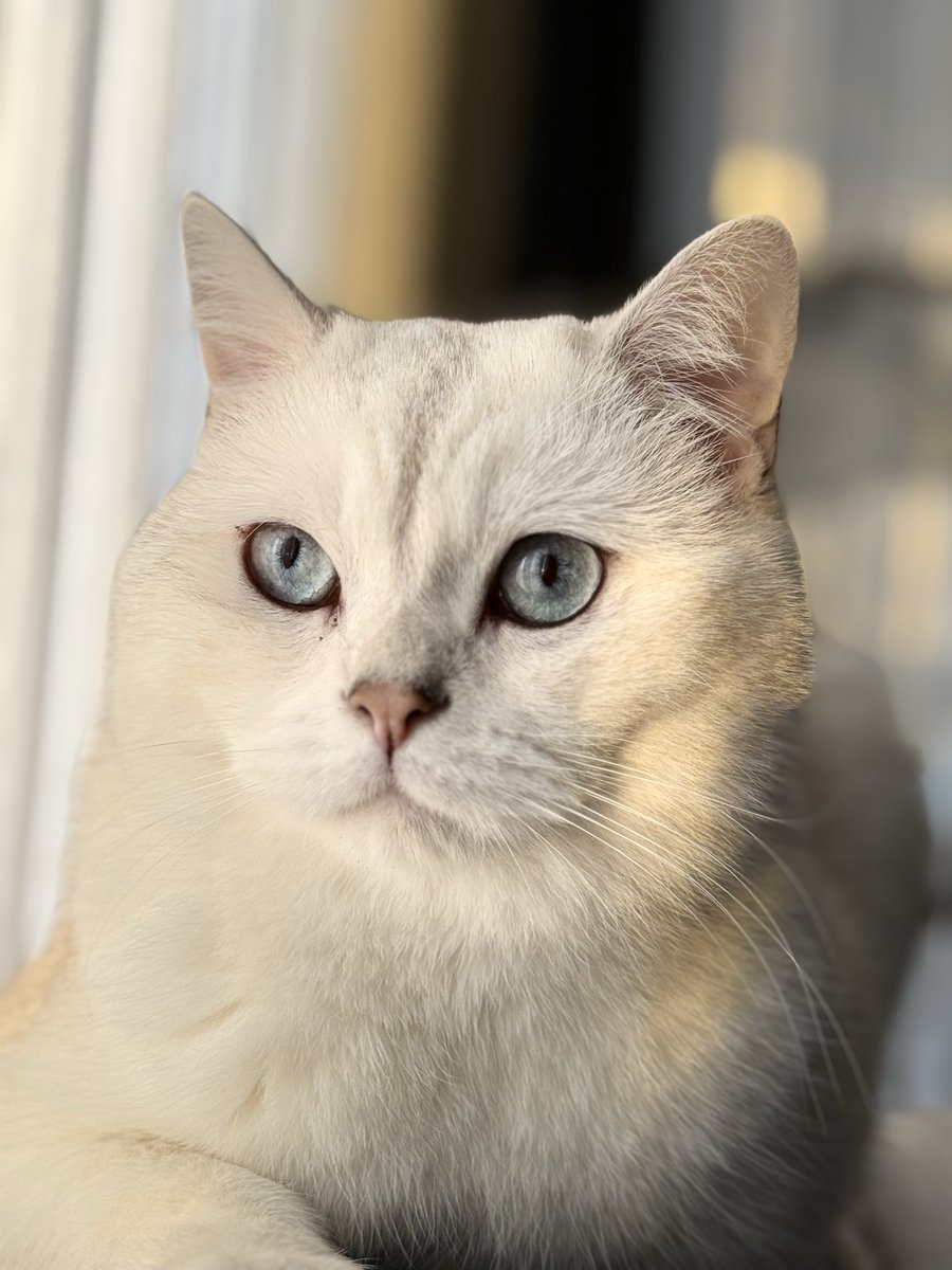 alpertunga.eth tweet media