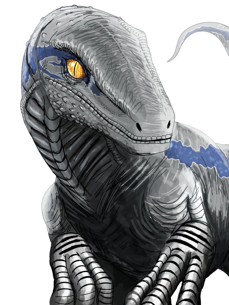 最高の相棒 ブルー