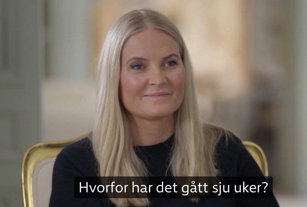 function() tweet media