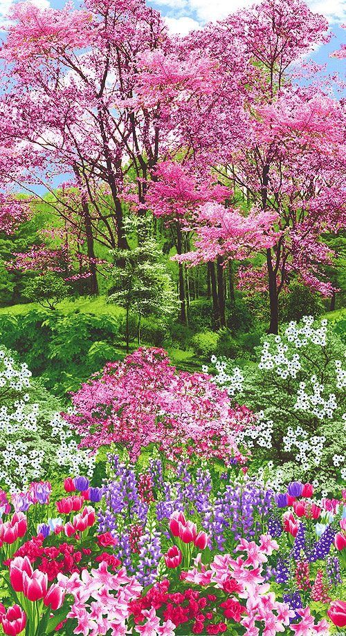 Sweet Nature (@sweet_nature1) on Twitter photo 