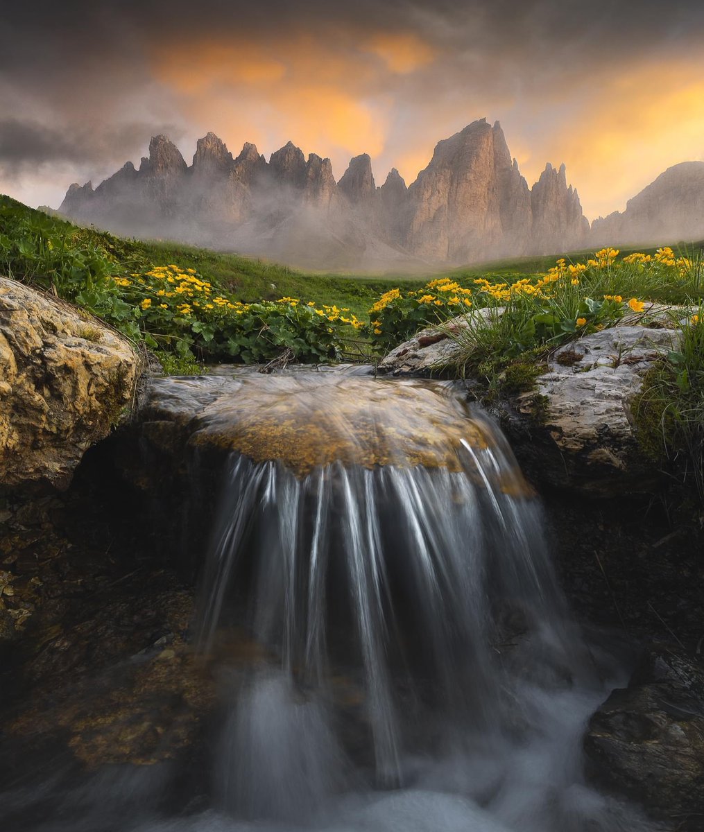 The World tweet media