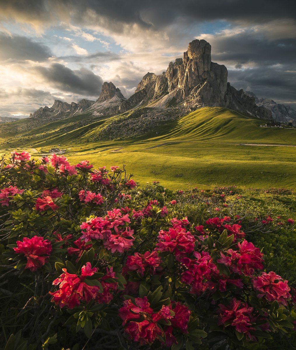 The World tweet media