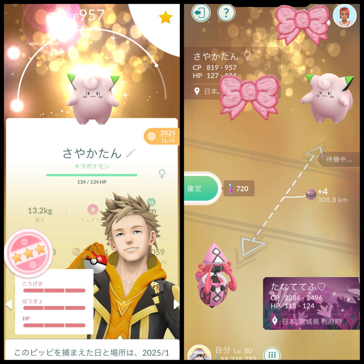 さやか/Sayakatann tweet media