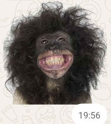 Hayatınızın her anında mutlu keyifli zamanlar geçirmenizi diliyorum...

Şöyle yüzlerimiz...😂