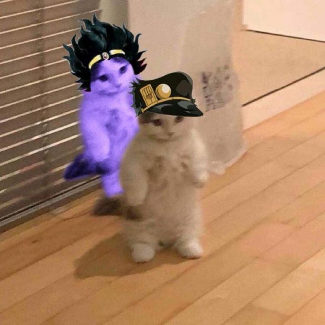 Cryptobull OG 🧲💹 tweet media