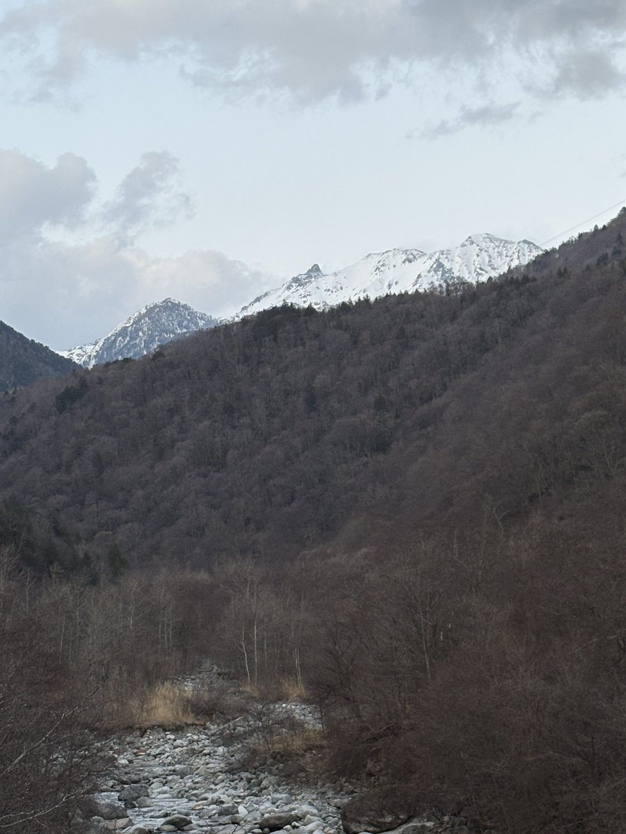 スイスポン@4/5 青梅高水トレイル30k tweet media