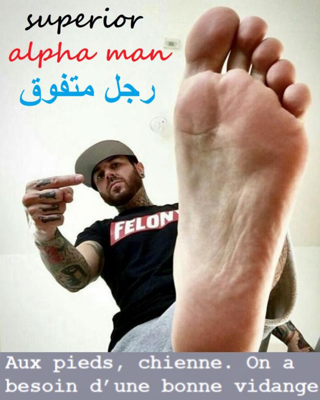 Maitre ILYAS tweet media