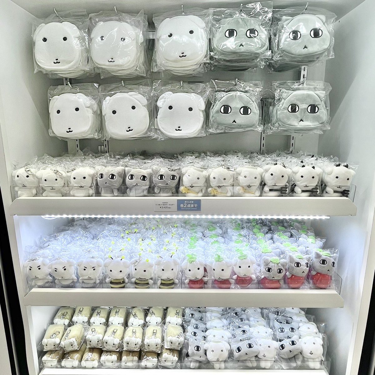 SHIBUYA109 tweet media