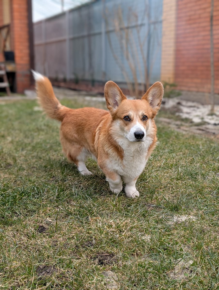 Not_Jesus tweet media