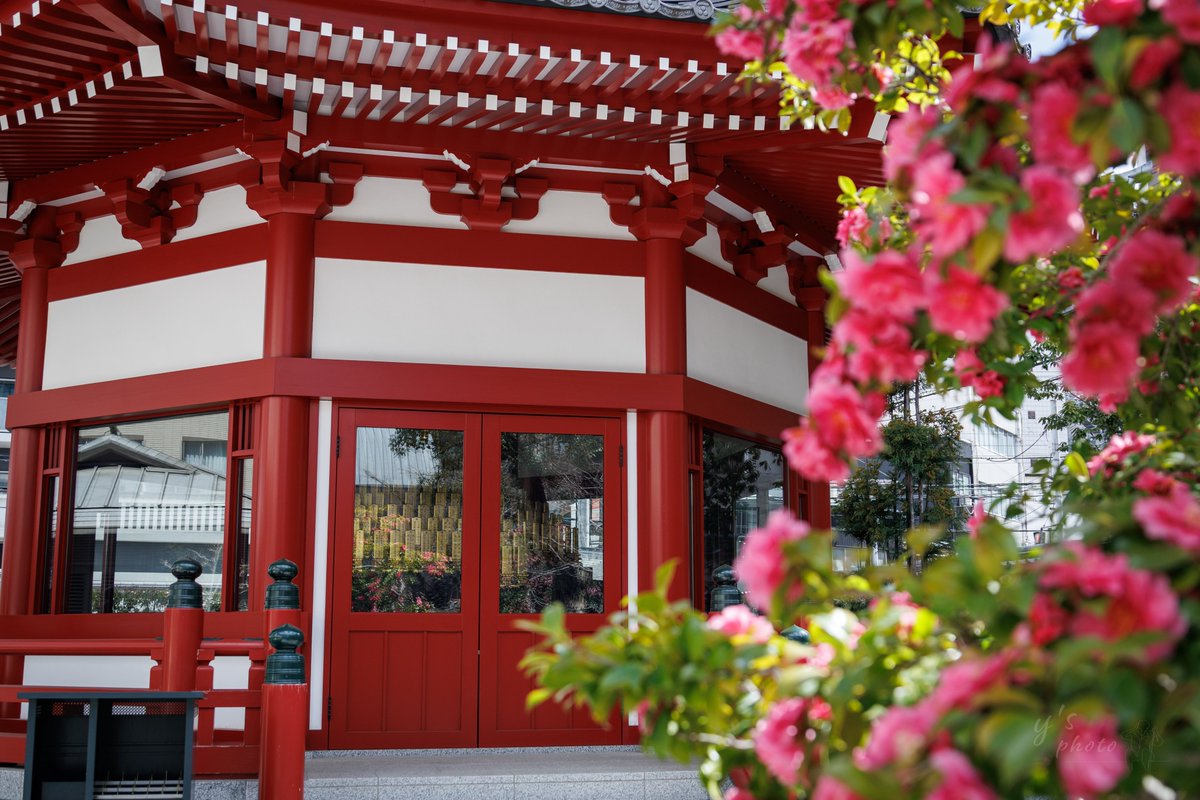 y’s | やす tweet media