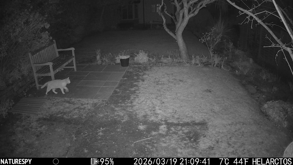 Michael Merrifield tweet media