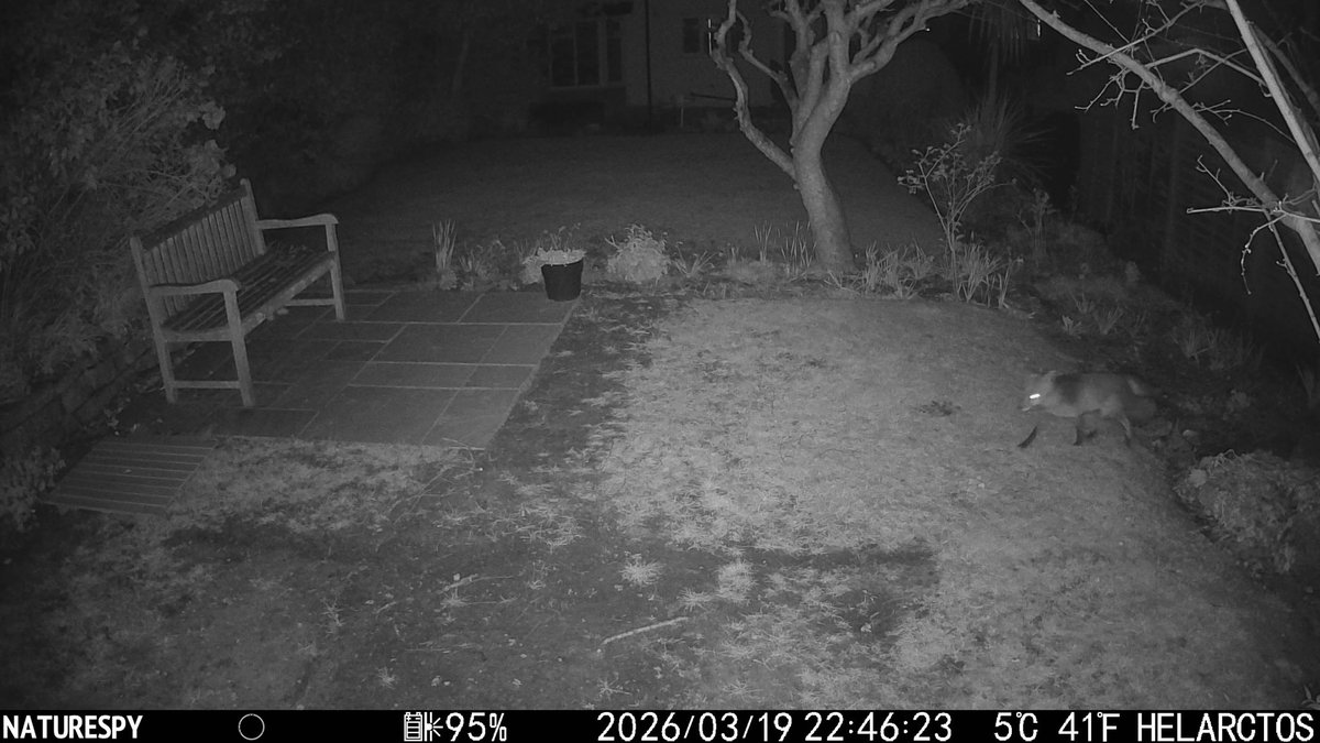 Michael Merrifield tweet media