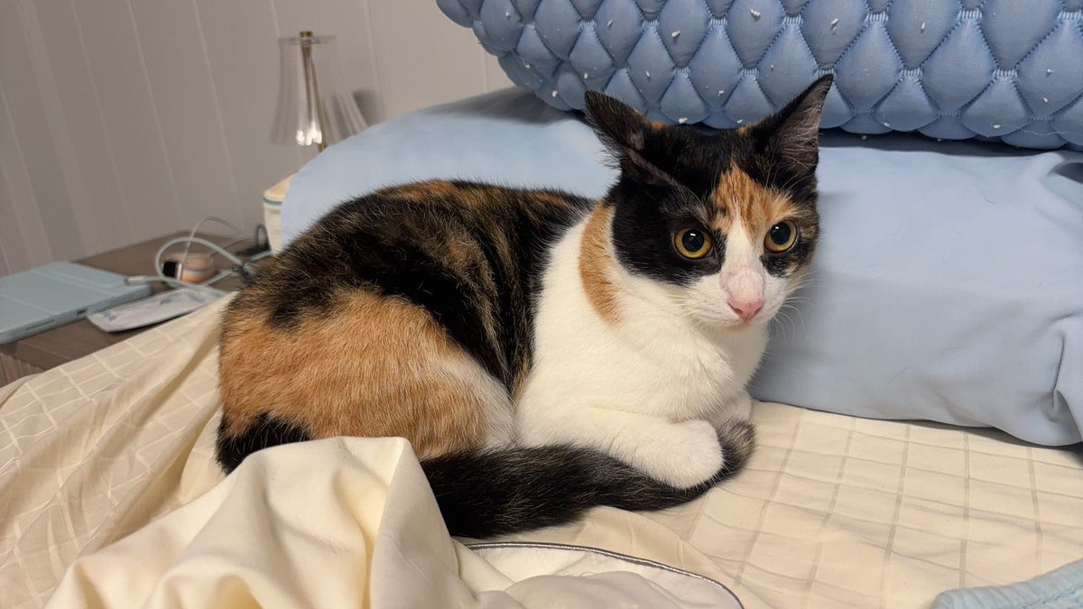 阿惜🍬 tweet media