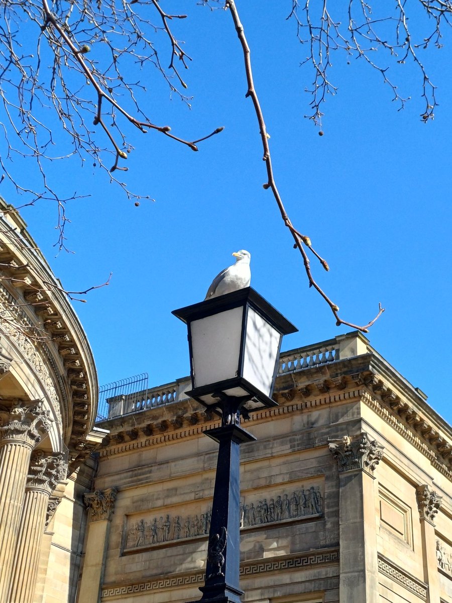 Lisa J Allen tweet media