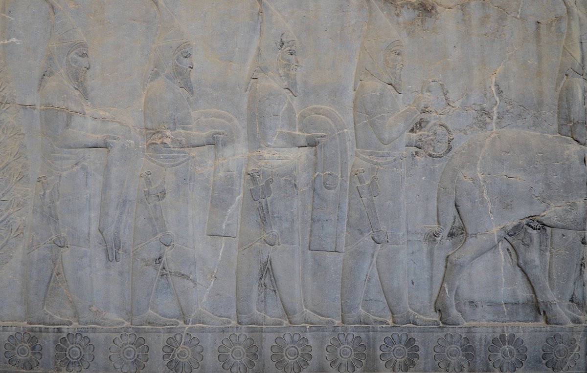 Following Hadrian tweet media