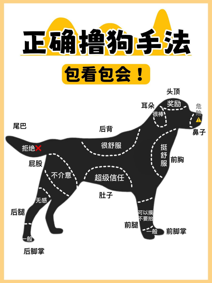 moustafa tweet media