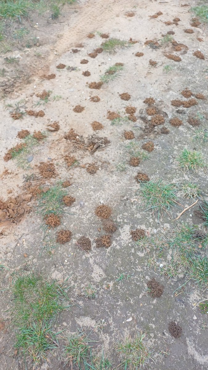 #TeamGunner tweet media