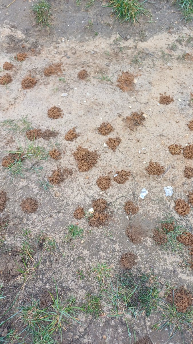 #TeamGunner tweet media