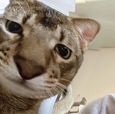 อิโมจิใหม่ ios เหมือนลีออนมากอ่ะ
55555655555555555566665555555555555555555555555556655555555555555555555