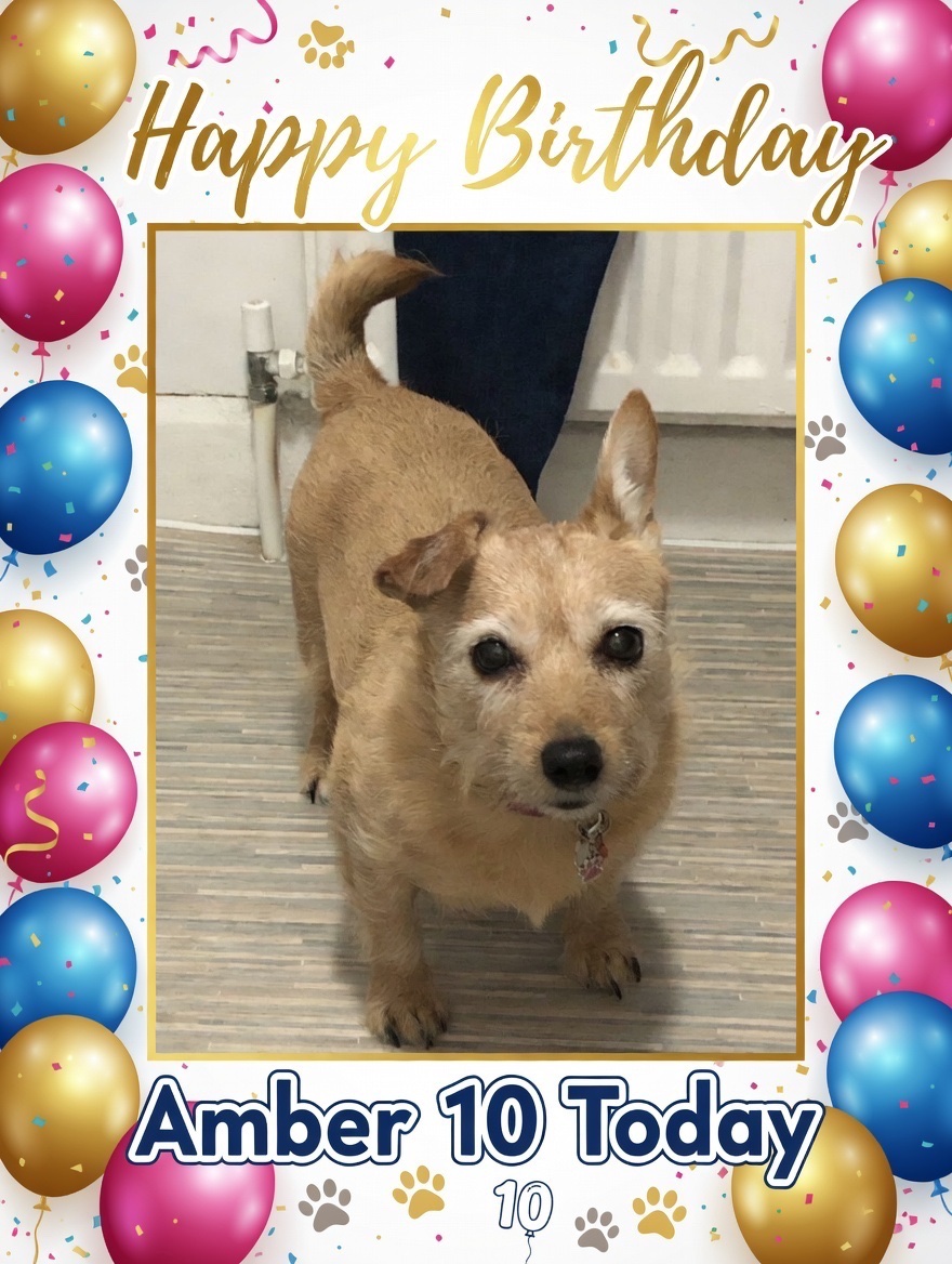 Mystic Queen of Maybe (Jan) & Teddy 🐈‍⬛ tweet media