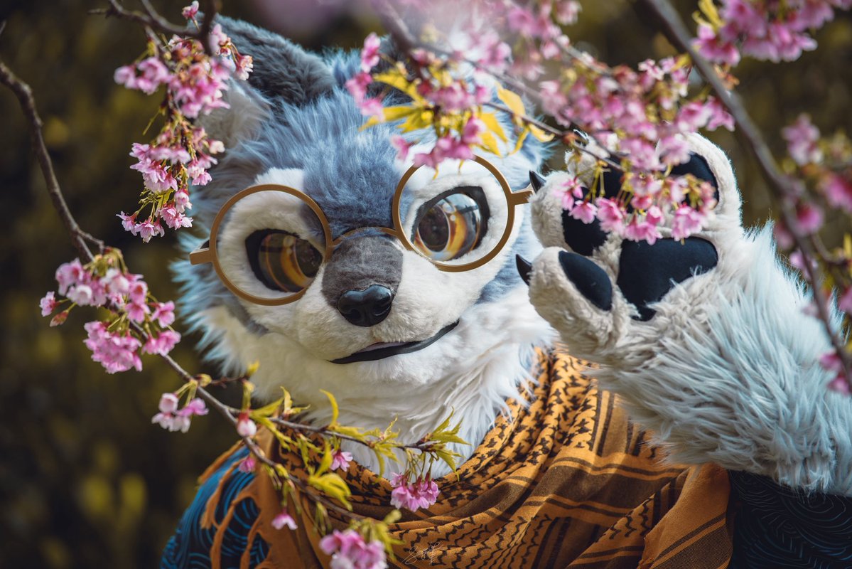 Empty Sky 空空 tweet media