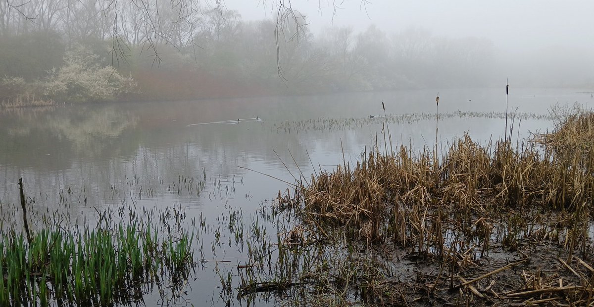 John Ward. ⚽ 🇬🇬🇺🇦 tweet media