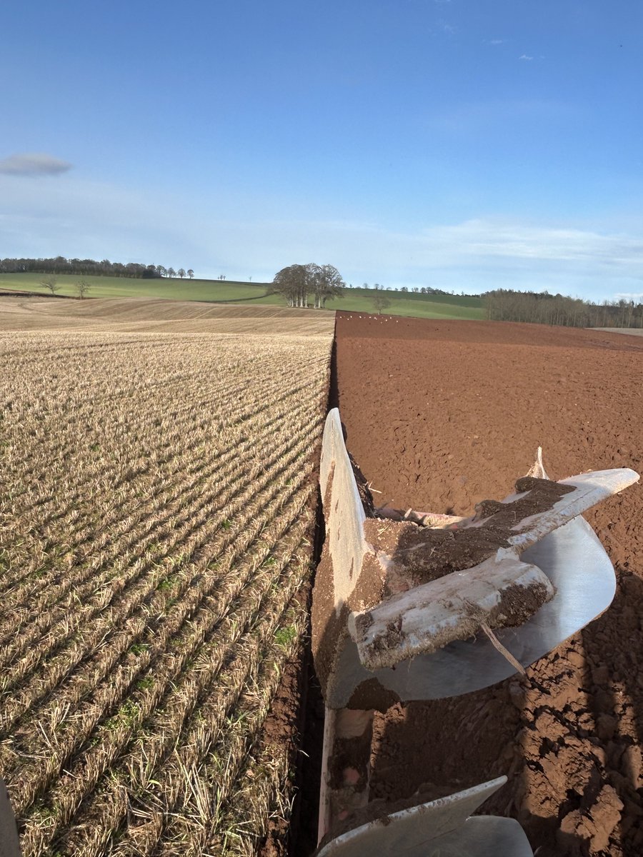 charlie beattie tweet media