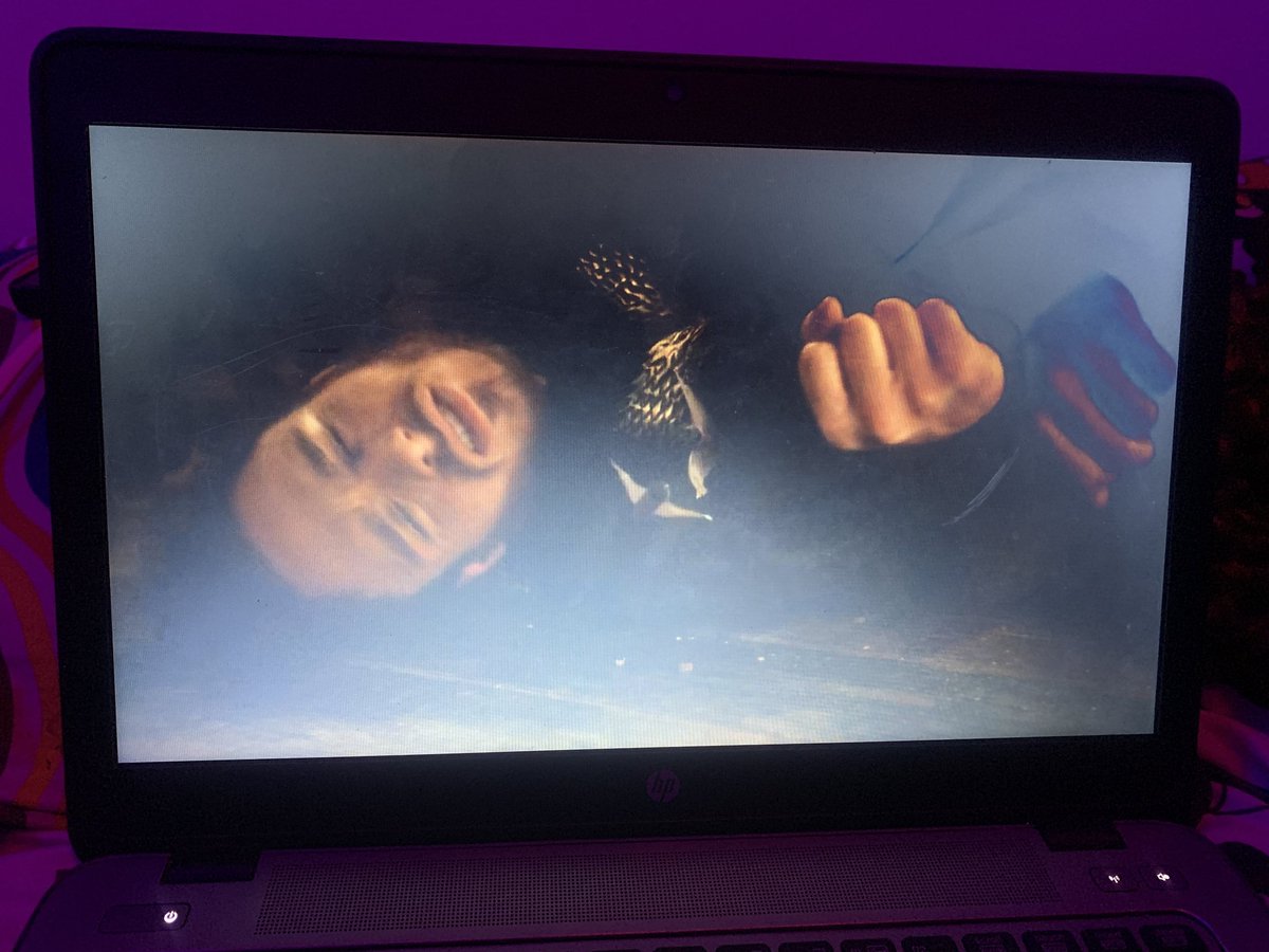 Oluchyy 💙🌹 tweet media