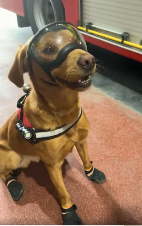 ESN Report tweet media