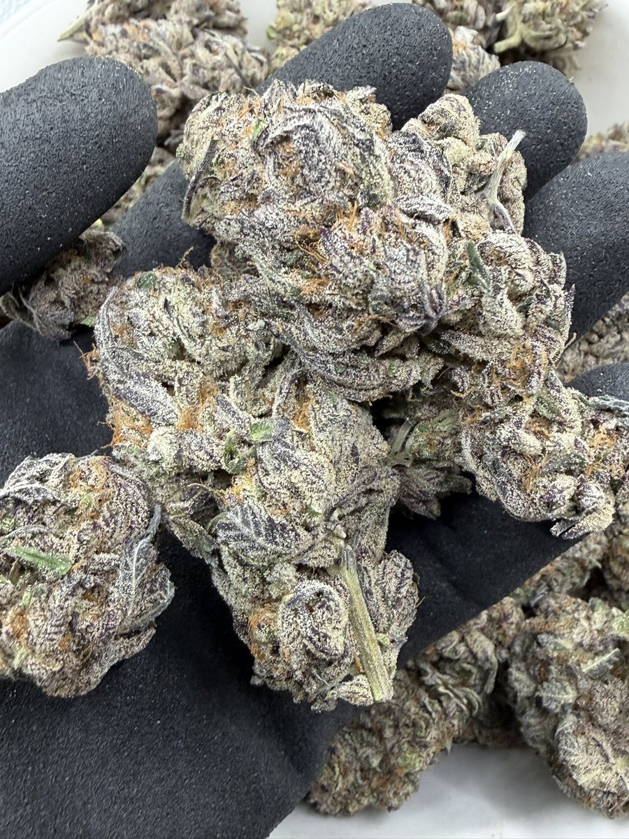 おてて tweet media