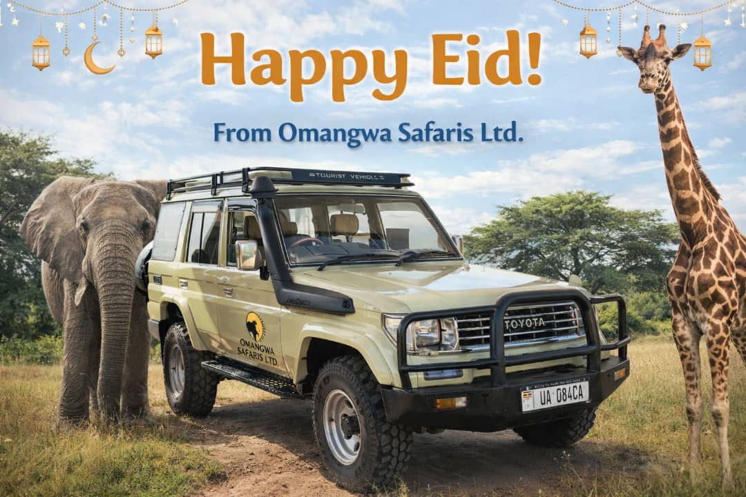 Warmest wishes to our esteemed customers - Eid Mubarak!  May your day be filled with Joy, love and blessings😍