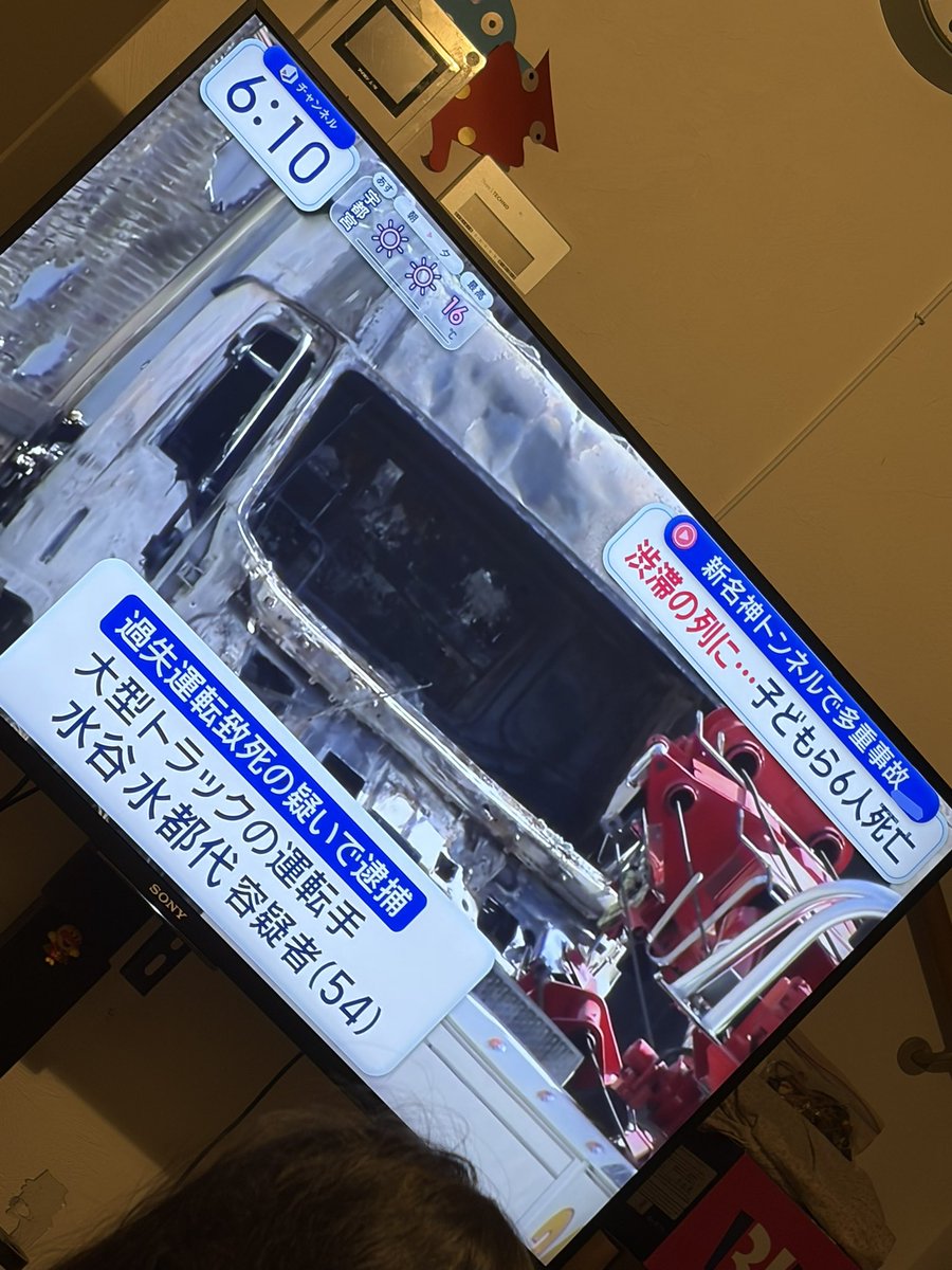 🇯🇵ゼブラちゃんちゃこりんマン_半裸椅子_ゴールデンボールカムイ_ペテルギウス・アマンコンティ tweet media