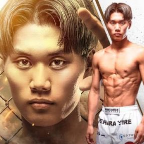 ファイトメモリー | Fight Memory tweet media