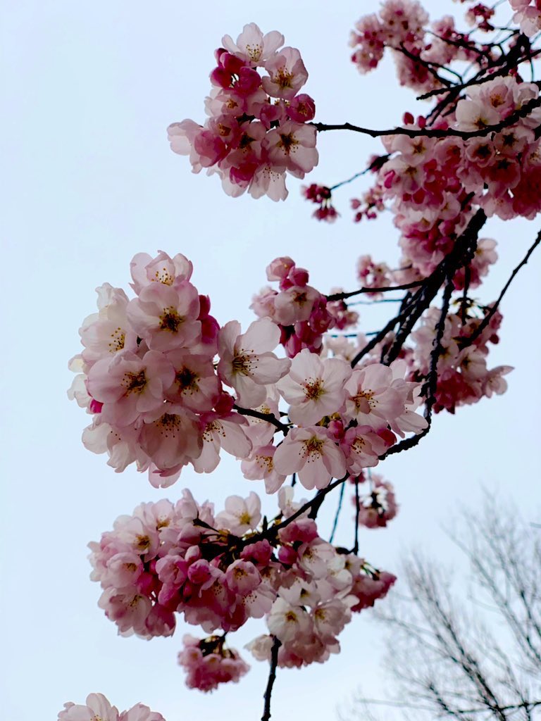 ☕️ልጠልክ ‏امن ਅਮਨ 🍷🐾11:11 ✨ tweet media